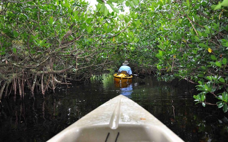Kayakers paddling in Everglades National Park