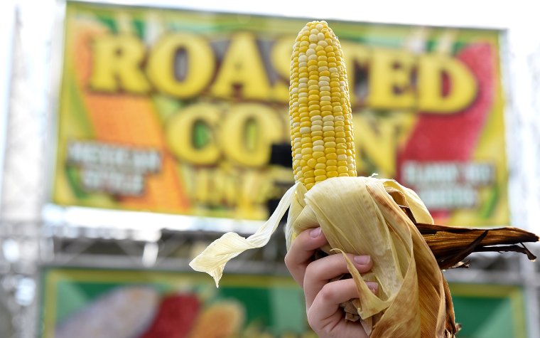 Corn in the husk at The Fair Corn in the husk at The Fair