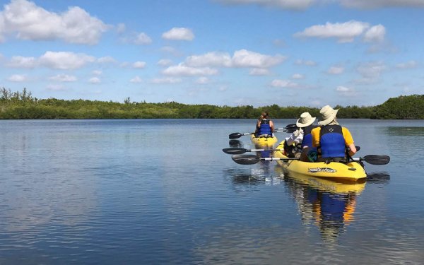 Un grupo de kayakistas en el agua