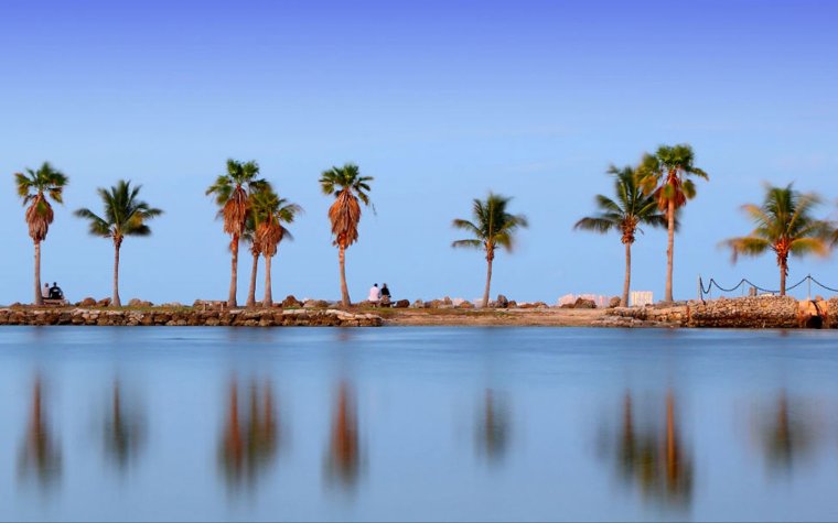 Atoll pool at Matheson Hammock, surrounded by palm trees