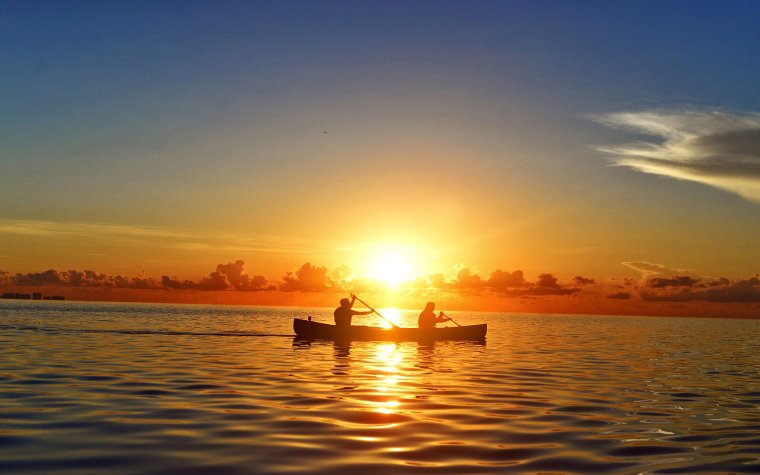 Canoers paddling through the waters of Deering Estate