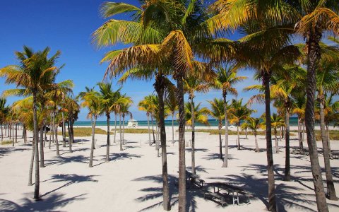 Un dia a las Crandon Park Beach