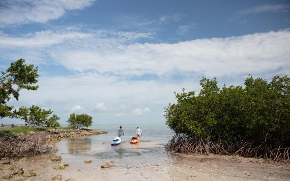 Kayak