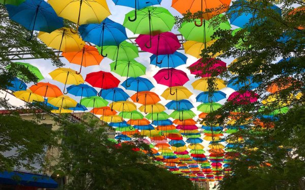 Coral Gables Guide