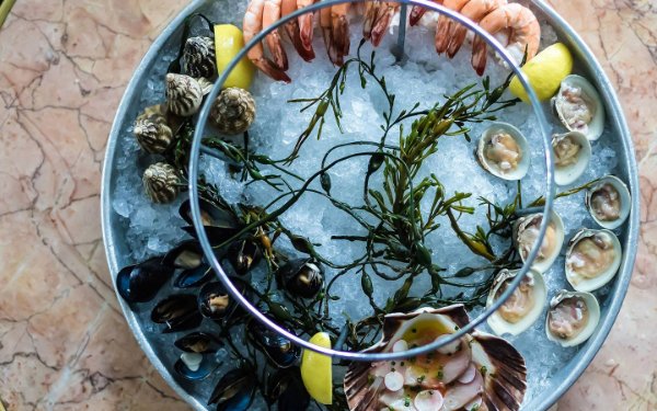 Fruits de mer sur glace servis à Le Zoo