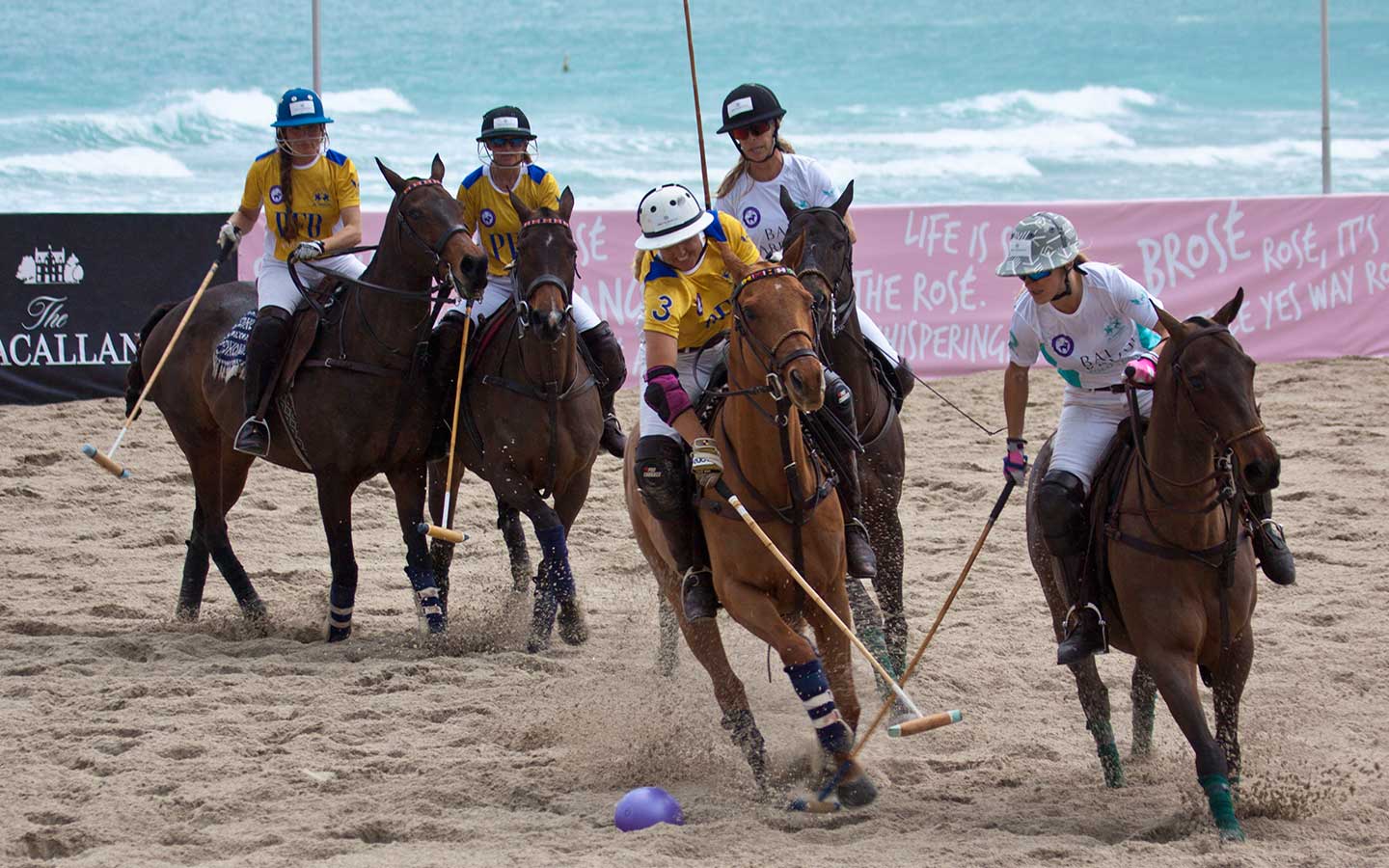 Where to Watch & Play Sports in Miami Miami & Miami Beach