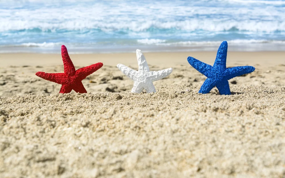 Red, white and blue starfish on the shore