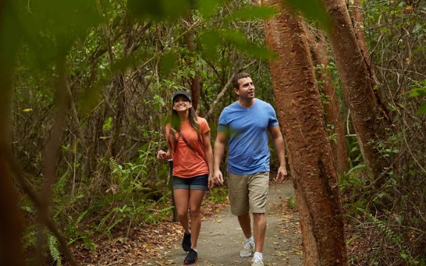 Pareja haciendo senderismo por el sendero Gumbo Limbo en los Everglades