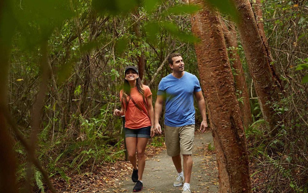 Couple hiking Gumbo Limbo trail in the Everglades