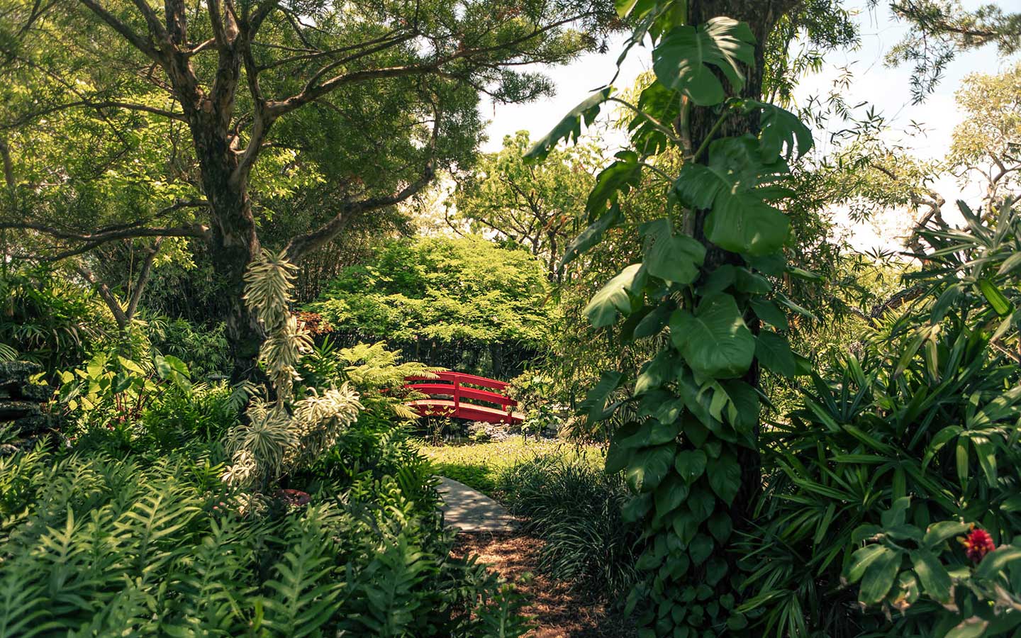 Puente rojo en el Miami Beach jardines botánicos