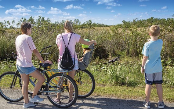 Familia en bicicletas que se detienen y miran un cocodrilo.