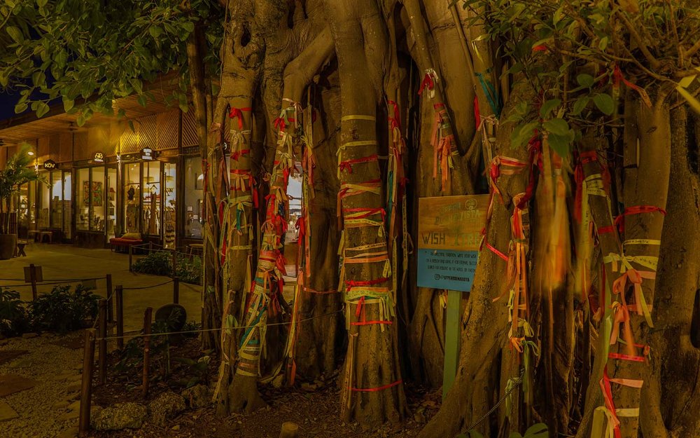 Upper Buena Vista's shops and wish tree with ribbons