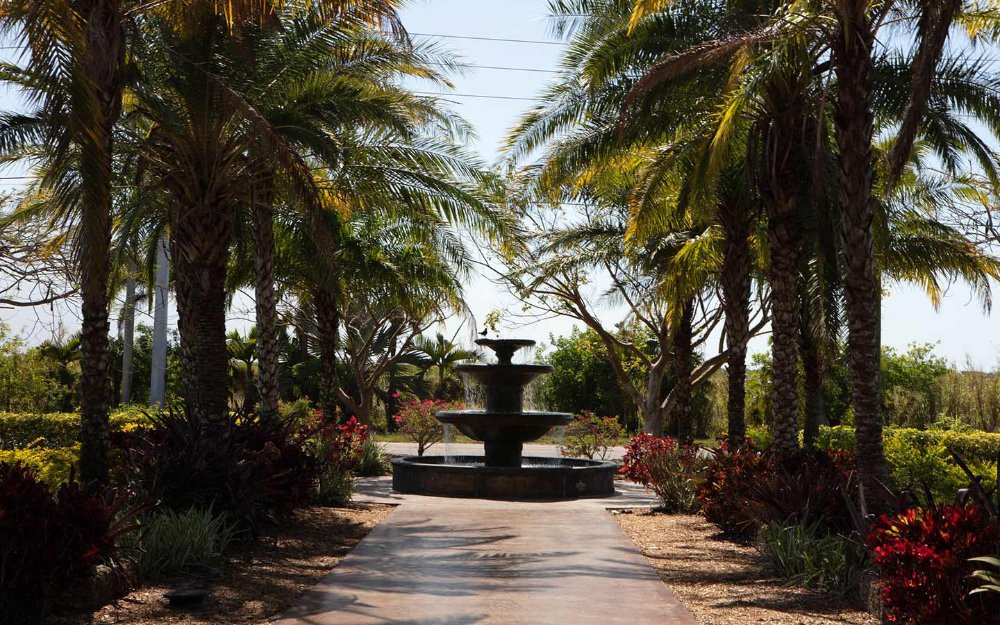 Von Bäumen gesäumter Weg zu einem Brunnen an Schnebly Redland's Winery & Brewery