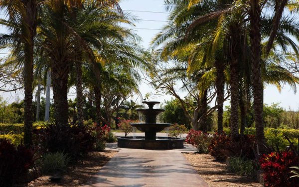 Tree-lined path to a fountain at Schnebly Redland's Winery & Brewery