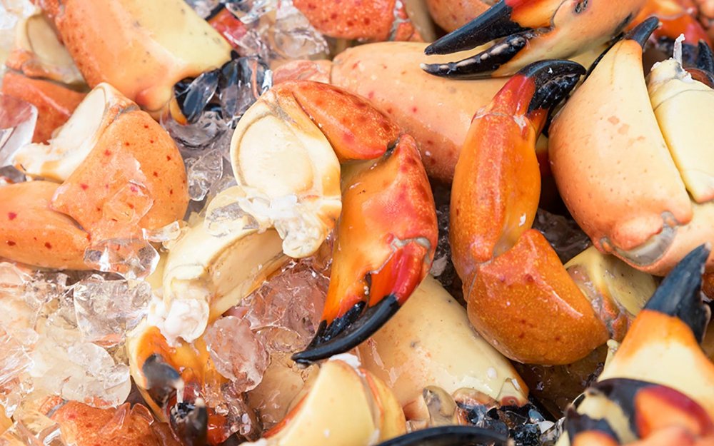 Stone crabs on ice