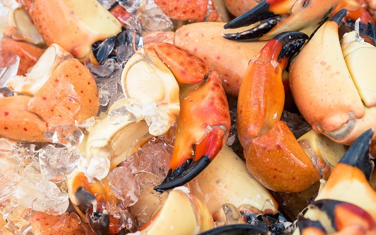 Stone crabs at South Beach Seafood Festival