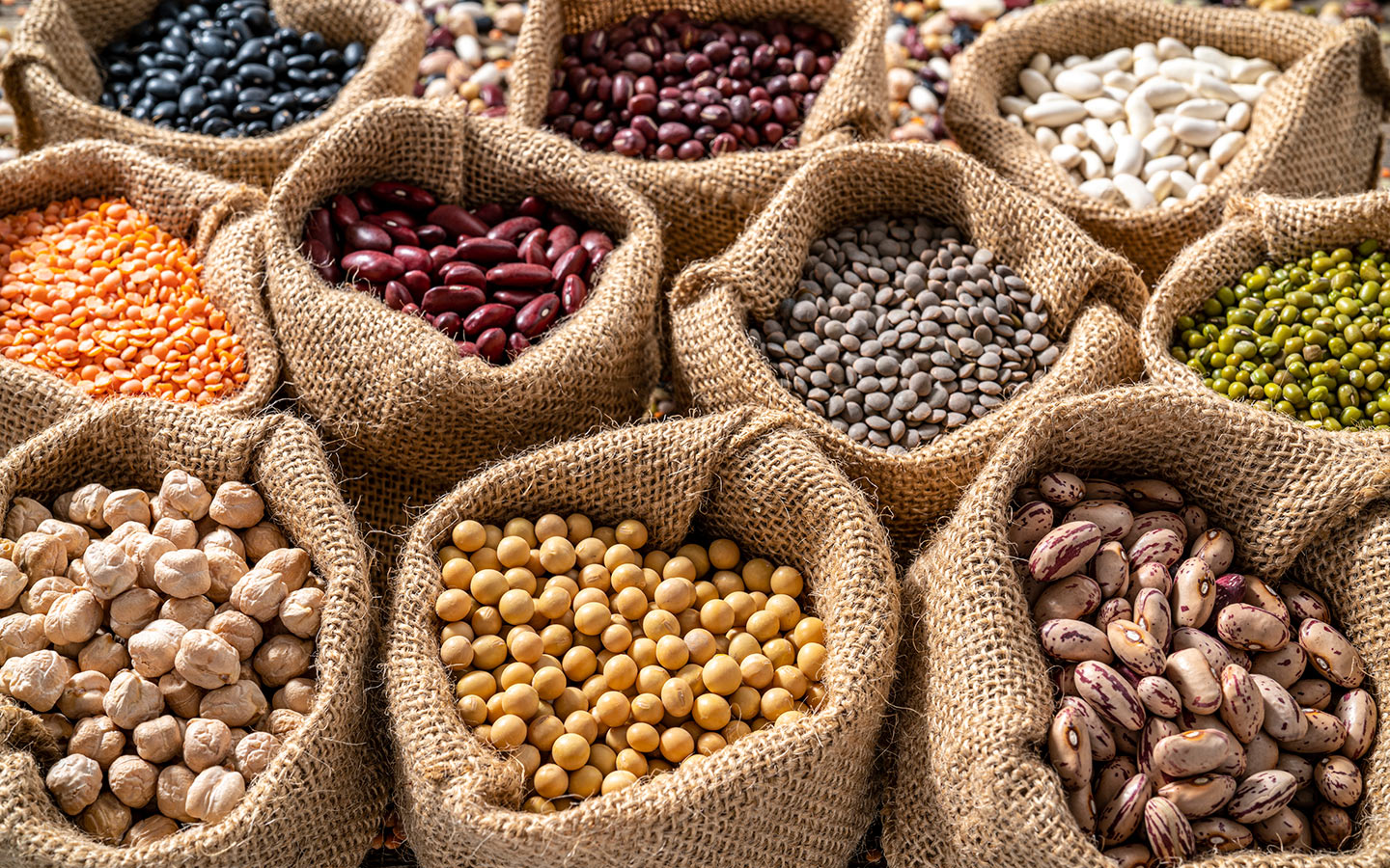 colorful beans in bags