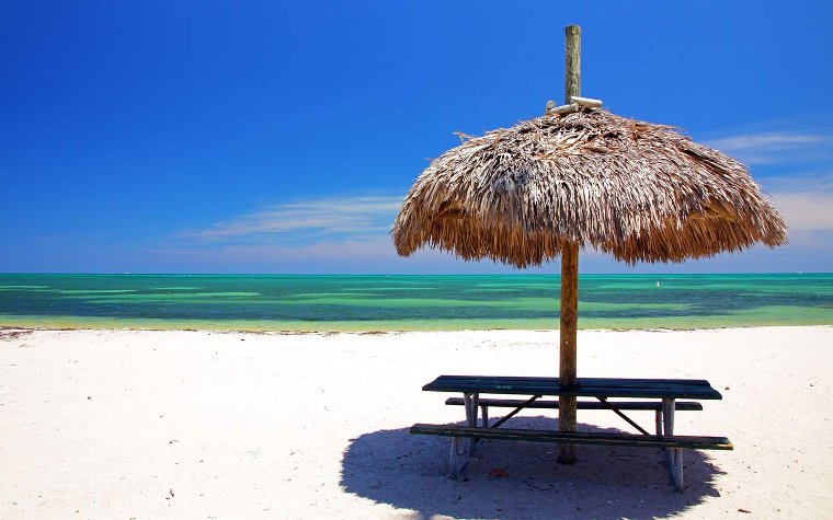 Tiki picnic table on Virginia Key Beach