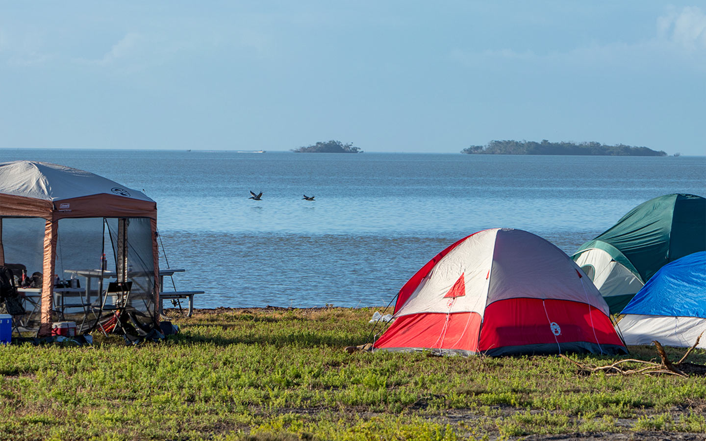 Barraca de acampamento perto da água no Flamingo