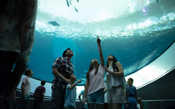 Famille au bas d'une lentille oculus de 31 pieds au Frost Science Museum Miami