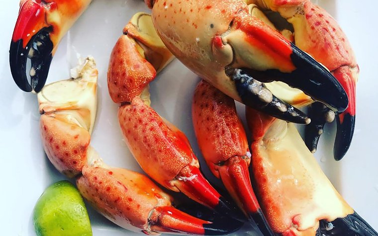 Stone Crabs at Garcia's Stone Crabs at Garcia's
