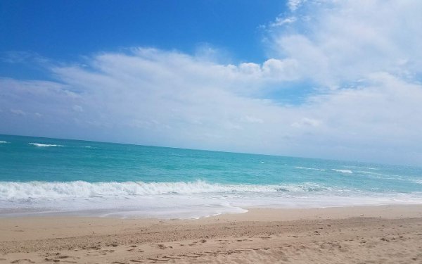 North Beach la costa de