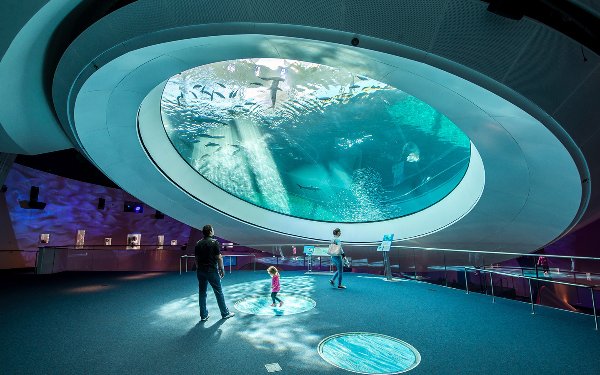 Circular Oculus viewing aquarium window at Frost Science