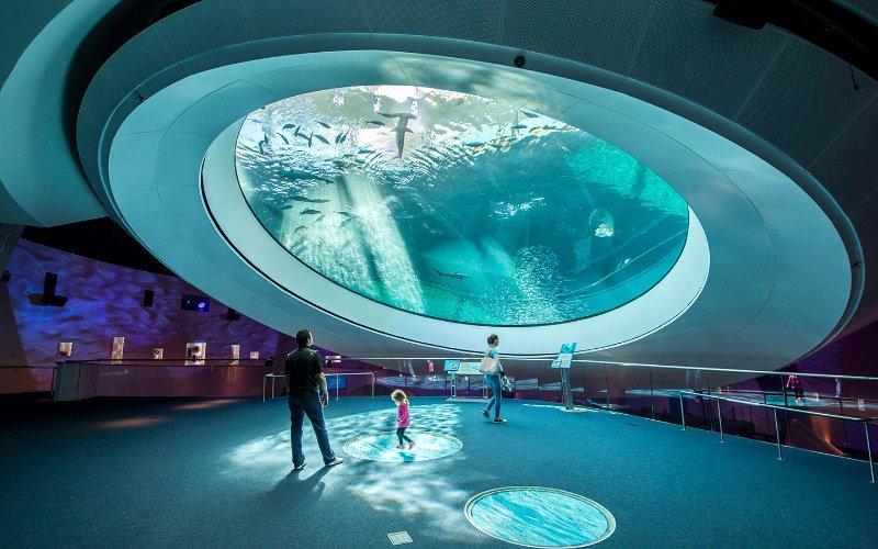 Circular Oculus viewing aquarium window at Frost Science