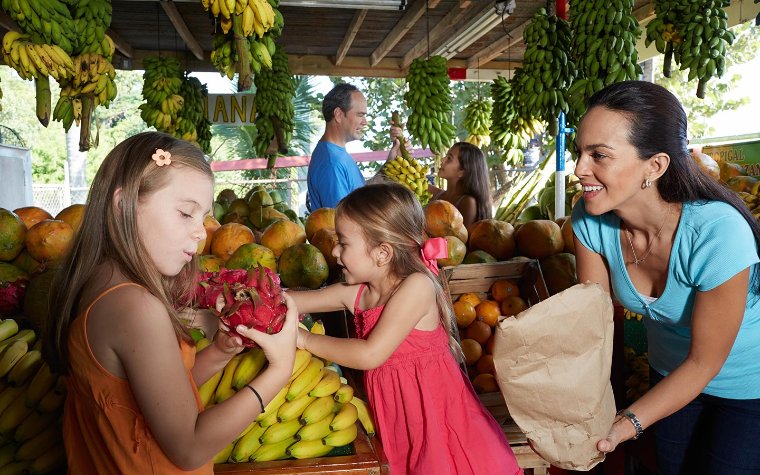 Family picking fruit at Robert Is Here Family picking fruit at Robert Is Here