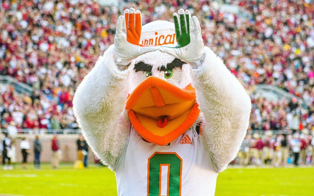 Das Maskottchen des Miami Hurricane, Sebastian der Ibis, macht eine U-förmige Geste