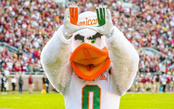 La mascotte de Miami Hurricane, Sebastian l'Ibis, fait un geste en forme de U