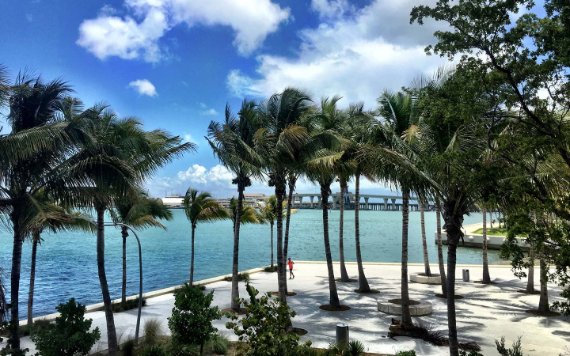 Downtown Miami Baywalk / Museum Park