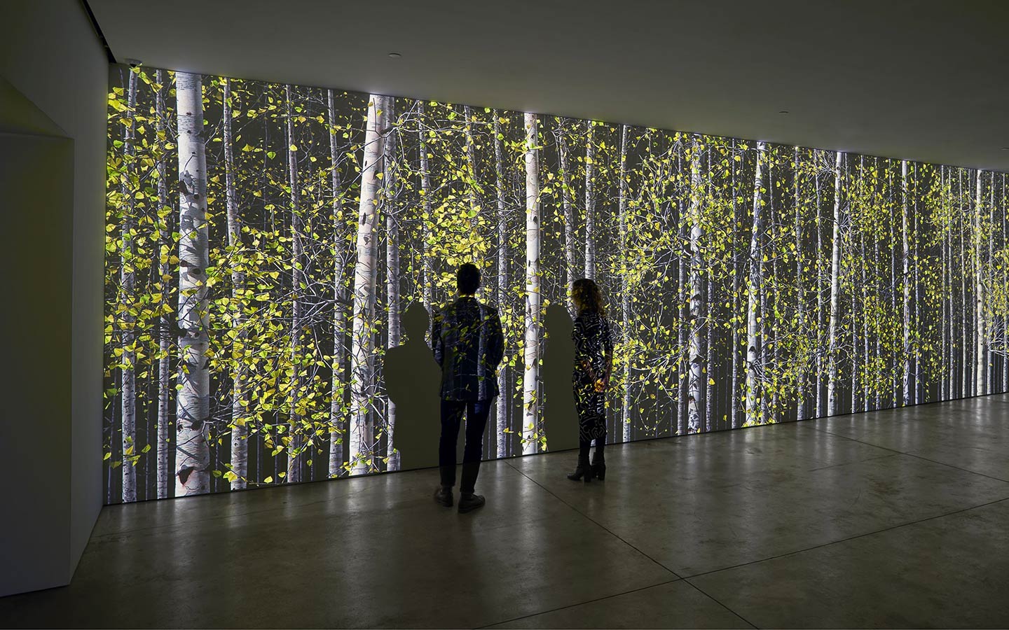 People admiring the colorful flower wall at the Margulies Collection