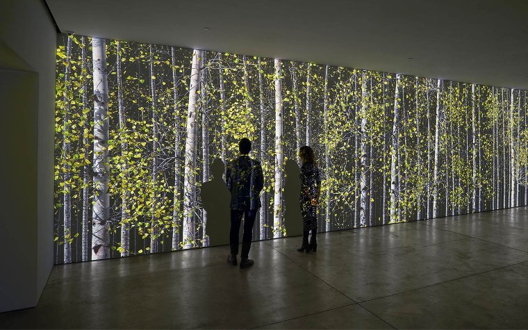 People admiring the flower wall at the Margulies Collection
