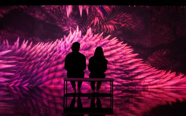 Casal apreciando a exposição MAGENTAVERSE na ARTECHOUSE em Miami Beach