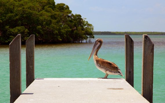 Crandon Park