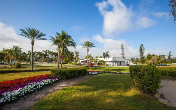 Flores y palmeras en Miami Springs Club de golf y de campo
