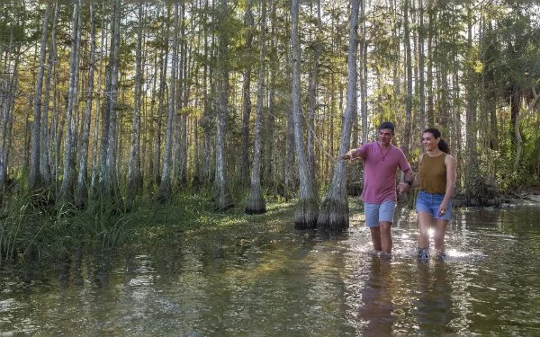 Paar beim Wandern Big Cypress National Preserve