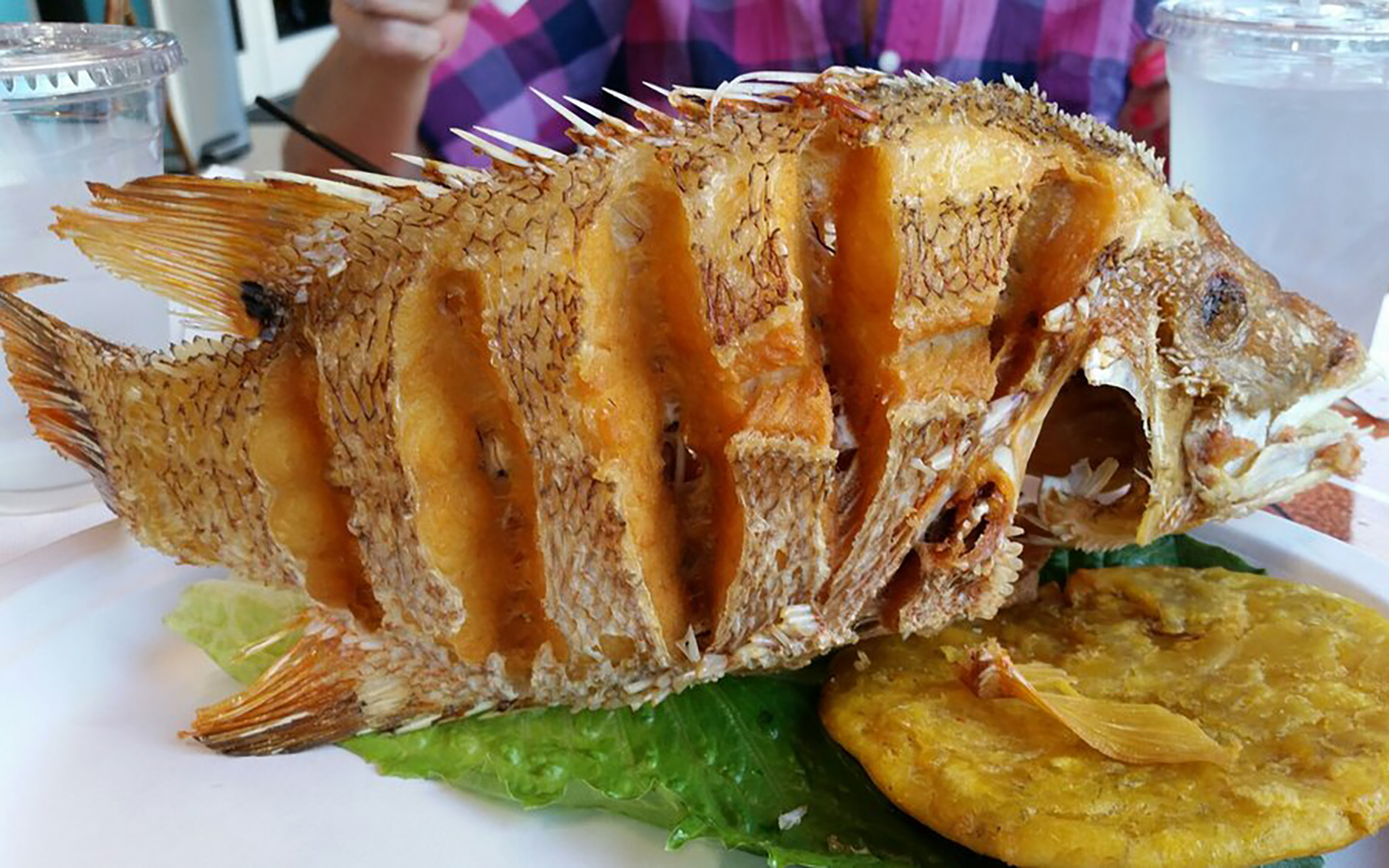 Hogfish fritto e tostones al Fresh Pesca della Florida