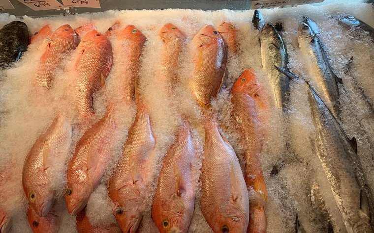 Casablanca's display of whole fish on ice Fish on ice at Casablanca