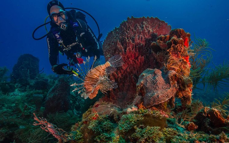 Diver exploring a vibrant coral reef with a lionfish nearby Diver exploring a vibrant coral reef in Biscayne National Park with a lionfish nearby