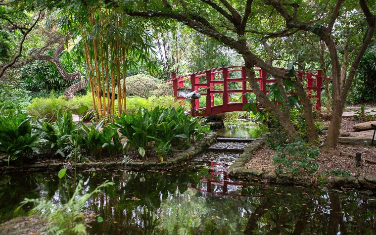 Red bridge at the Miami Beach Botanical Garden Red bridge at the Miami Beach Botanical Bridge