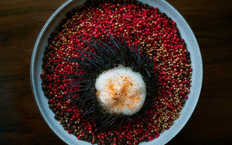 Sea urchin dish served at Pao by Paul Qui