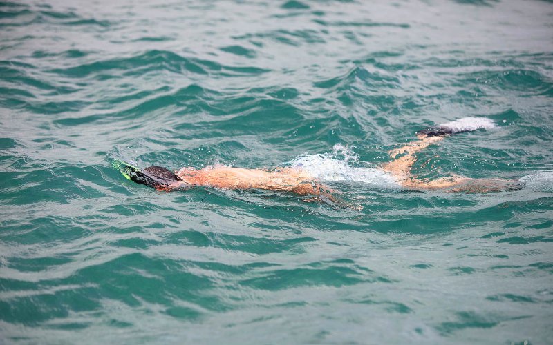 Snorkeler enjoying the underwater view