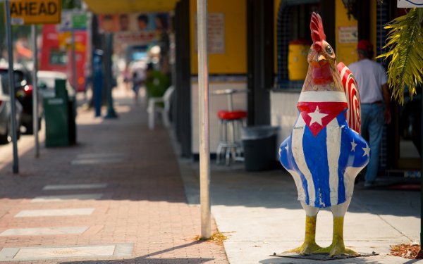Gallo con la bandera cubana en Little Havana
