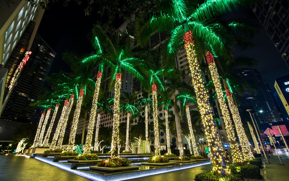 Luces de palmeras en World Plaza en el centro de Miami