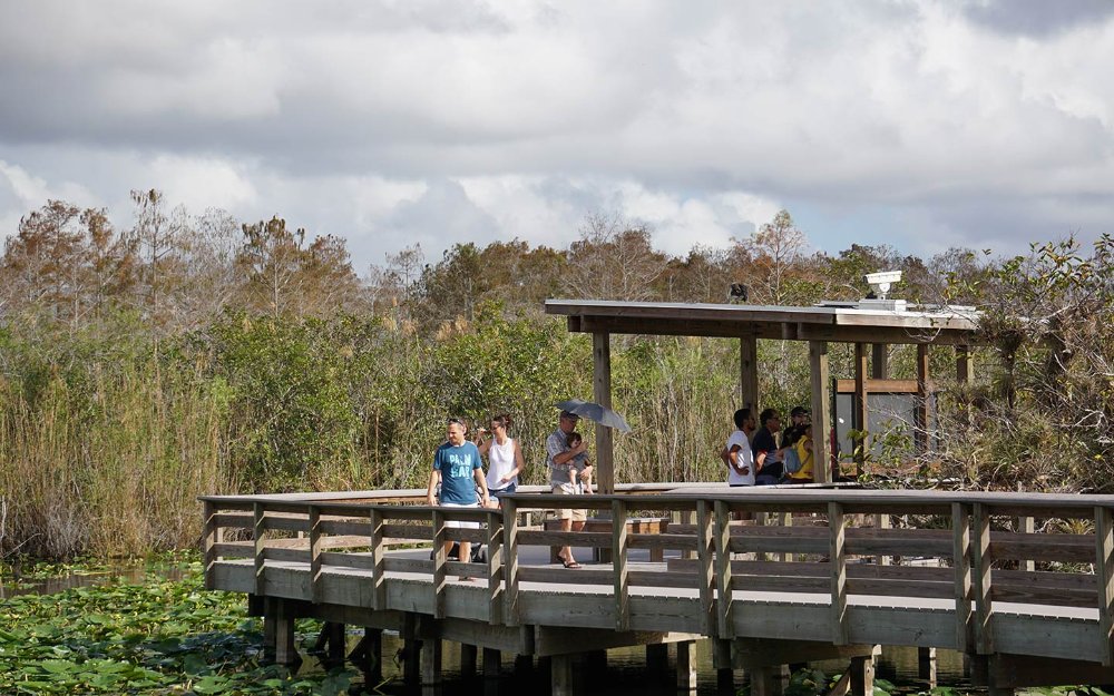 Anhinga Trail boardwalk in Everglades National Park