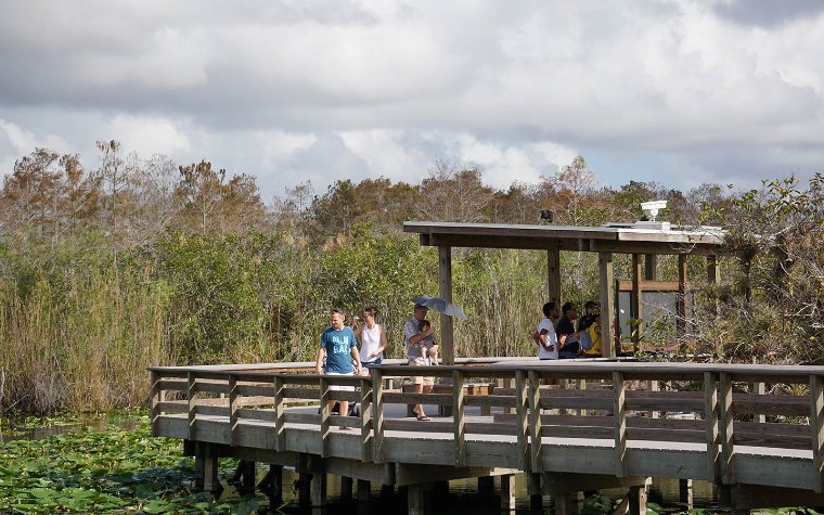 Les gens sur le sentier Anhinga