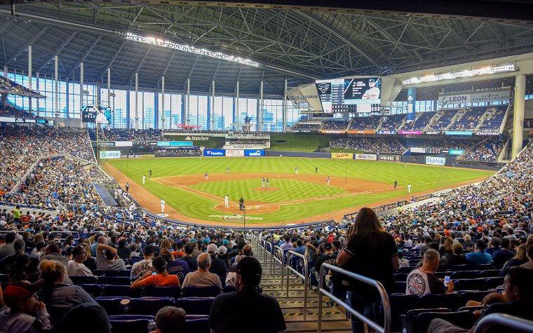Fans at a Marlins game Fans at a Marlins game