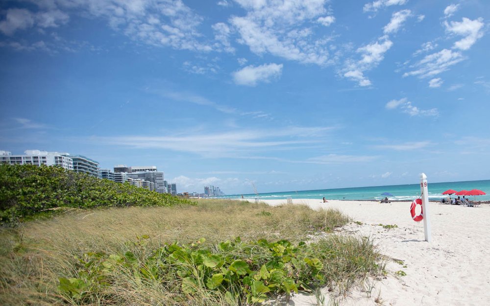 Surfside Beach Scene